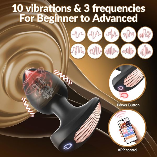 Anal Plug Vibrator Set