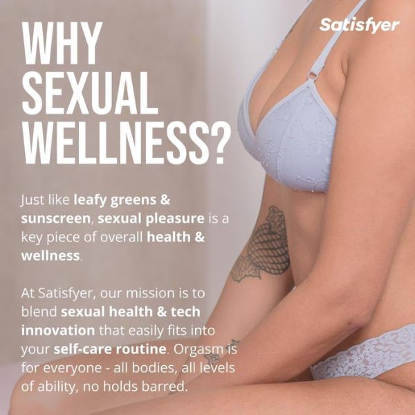 Satisfyer Penguin Vibrator Sex Toy