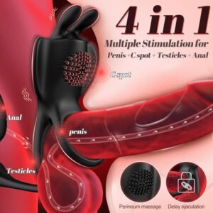 Vibrating Cock Ring with Anal Plug Vibrator