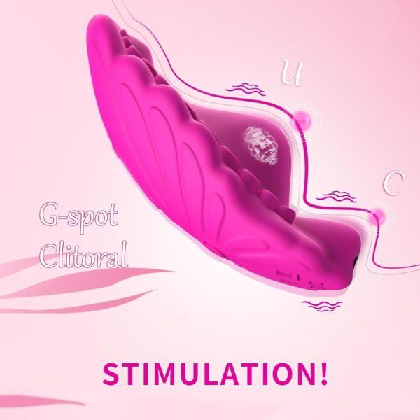 Remote Control Wearable Panty Vibrator